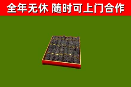 沙县区回收海参